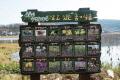 용흥지 수변구역내 살고 있는 동·식물 안내판 썸네일 이미지