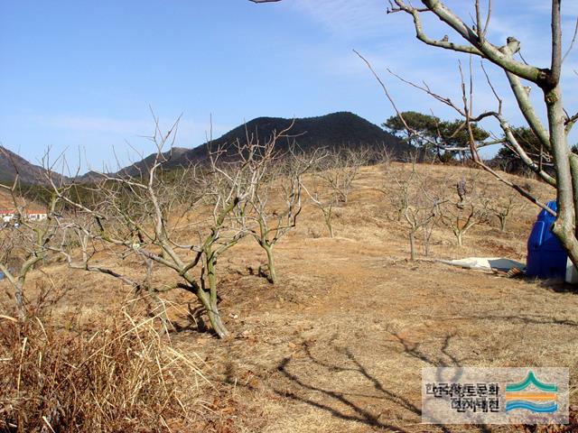 대표시청각 이미지